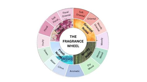 perfume scent notes website.